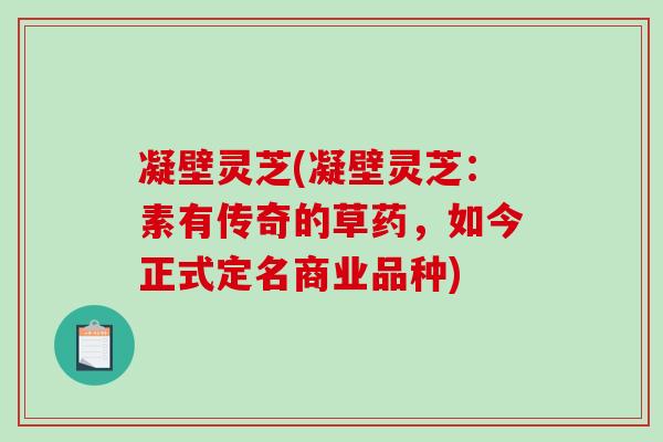 凝壁灵芝(凝壁灵芝：素有传奇的草药，如今正式定名商业品种)