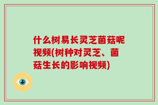 什么树易长灵芝菌菇呢视频(树种对灵芝、菌菇生长的影响视频)