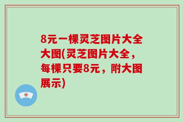 8元一棵灵芝图片大全大图(灵芝图片大全，每棵只要8元，附大图展示)