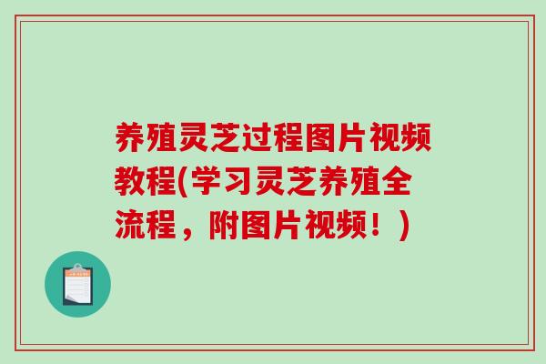 养殖灵芝过程图片视频教程(学习灵芝养殖全流程，附图片视频！)