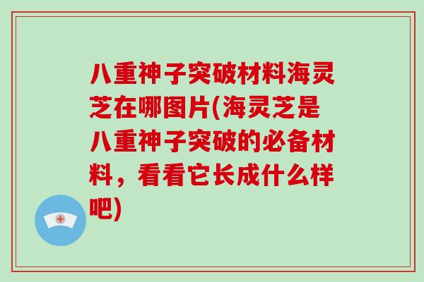 八重神子突破材料海灵芝在哪图片(海灵芝是八重神子突破的必备材料，看看它长成什么样吧)