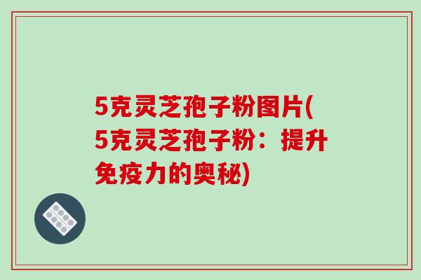 5克灵芝孢子粉图片(5克灵芝孢子粉:提升免疫力的奥秘) 5克灵芝孢子粉图片(5克灵芝孢子粉:提升免疫力的奥秘)