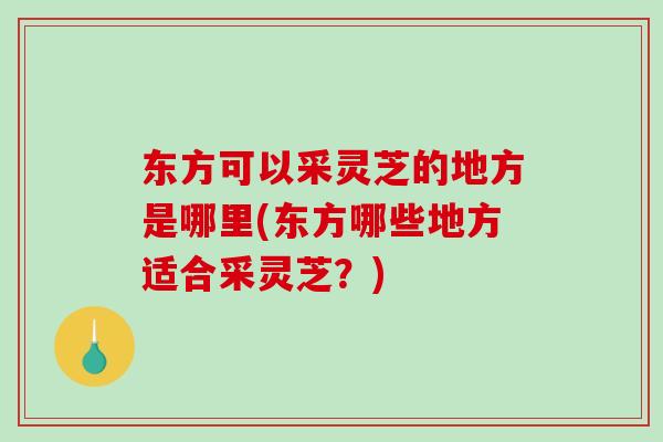 东方可以采灵芝的地方是哪里(东方哪些地方适合采灵芝？)