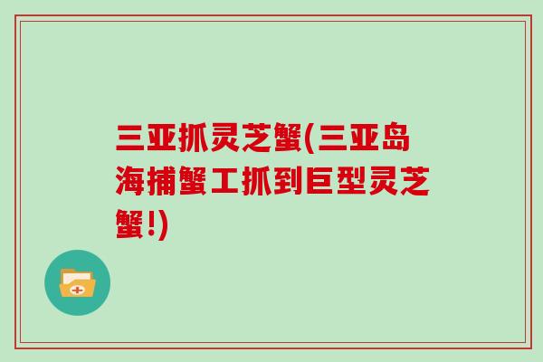三亚抓灵芝蟹(三亚岛海捕蟹工抓到巨型灵芝蟹!)