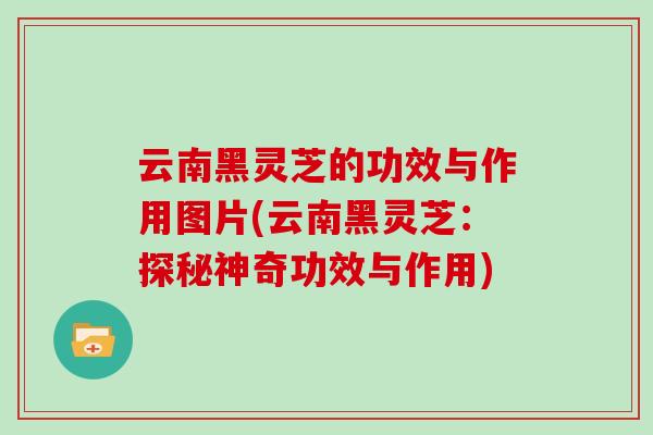 云南黑灵芝的功效与作用图片(云南黑灵芝：探秘神奇功效与作用)