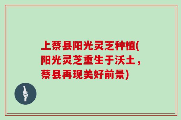 上蔡县阳光灵芝种植(阳光灵芝重生于沃土，蔡县再现美好前景)
