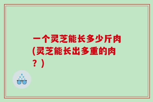 一个灵芝能长多少斤肉(灵芝能长出多重的肉?) 一个灵芝能长多少斤肉(灵芝能长出多重的肉?)
