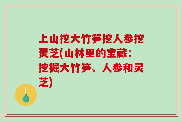 上山挖大竹笋挖人参挖灵芝(山林里的宝藏：挖掘大竹笋、人参和灵芝)