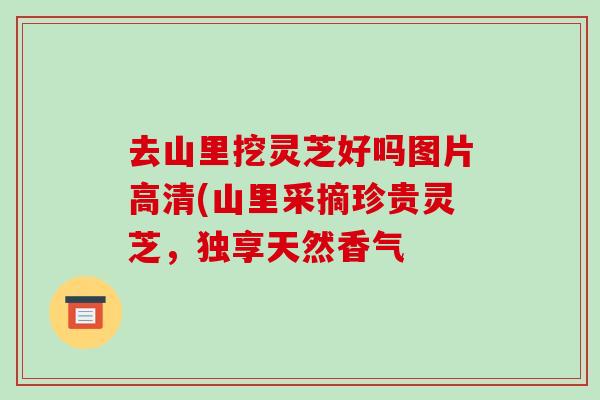去山里挖灵芝好吗图片高清(山里采摘珍贵灵芝，独享天然香气