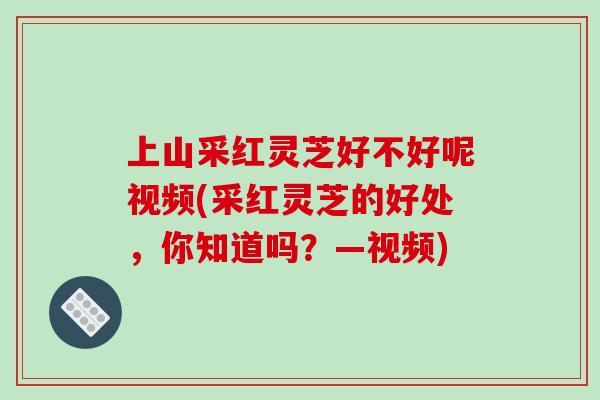 上山采红灵芝好不好呢视频(采红灵芝的好处,你知道吗?—视频) 上山采红灵芝好不好呢视频(采红灵芝的好处,你知道吗?—视频)