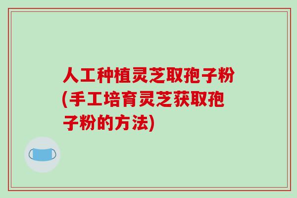 人工种植灵芝取孢子粉(手工培育灵芝获取孢子粉的方法)