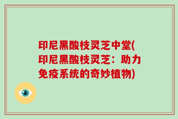 印尼黑酸枝灵芝中堂(印尼黑酸枝灵芝：助力免疫系统的奇妙植物)