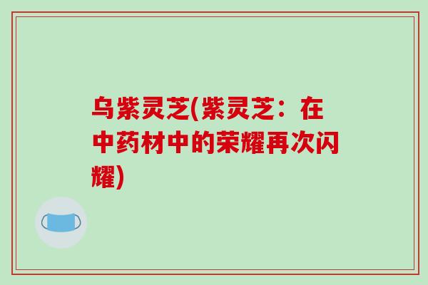 乌紫灵芝(紫灵芝：在材中的荣耀再次闪耀)