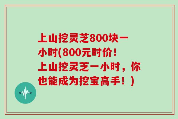 上山挖灵芝800块一小时(800元时价！上山挖灵芝一小时，你也能成为挖宝高手！)
