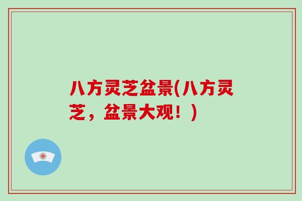 八方灵芝盆景(八方灵芝，盆景大观！)