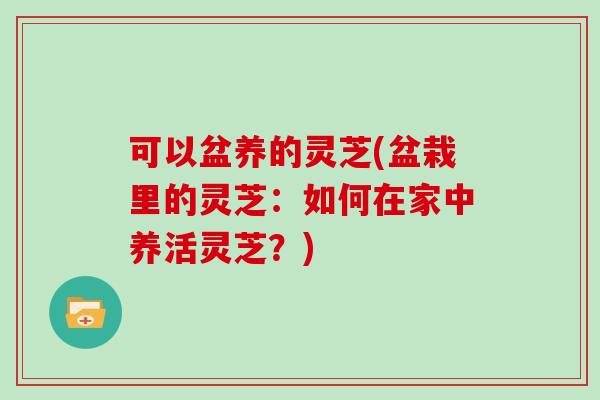 可以盆养的灵芝(盆栽里的灵芝：如何在家中养活灵芝？)