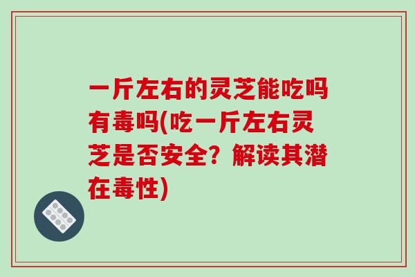 一斤左右的灵芝能吃吗有毒吗(吃一斤左右灵芝是否安全?解读其潜在毒性) 一斤左右的灵芝能吃吗有毒吗(吃一斤左右灵芝是否安全?解读其潜在毒性)