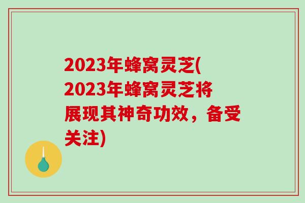 2023年蜂窝灵芝(2023年蜂窝灵芝将展现其神奇功效，备受关注)
