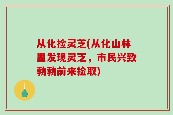 从化捡灵芝(从化山林里发现灵芝，市民兴致勃勃前来捡取)