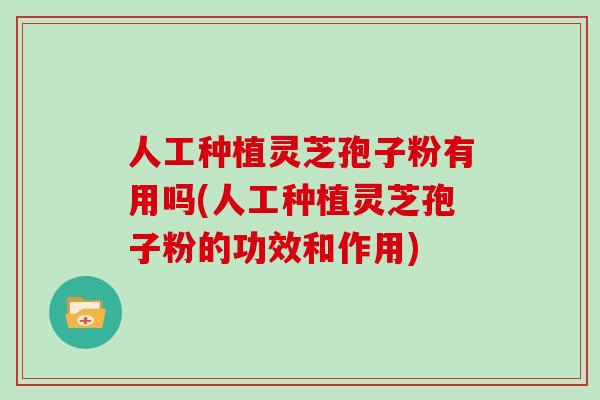 人工种植灵芝孢子粉有用吗(人工种植灵芝孢子粉的功效和作用)