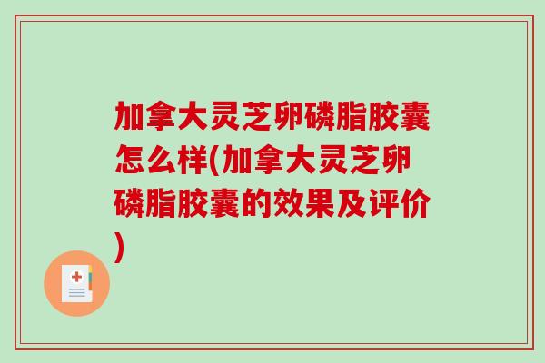 加拿大灵芝卵磷脂胶囊怎么样(加拿大灵芝卵磷脂胶囊的效果及评价)