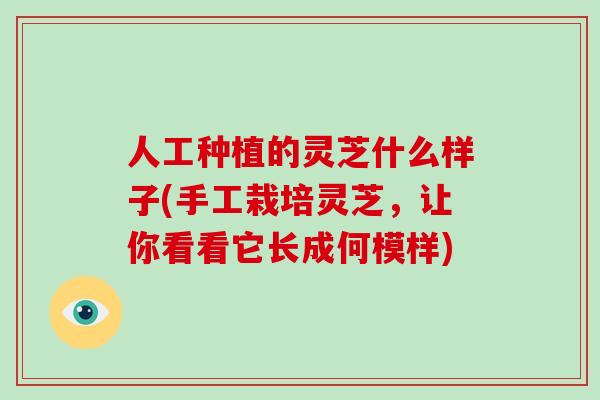 人工种植的灵芝什么样子(手工栽培灵芝，让你看看它长成何模样)