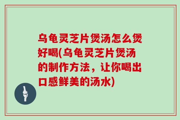 乌龟灵芝片煲汤怎么煲好喝(乌龟灵芝片煲汤的制作方法，让你喝出口感鲜美的汤水)