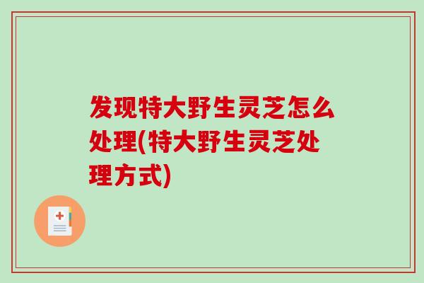 发现特大野生灵芝怎么处理(特大野生灵芝处理方式)