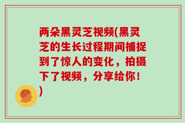 两朵黑灵芝视频(黑灵芝的生长过程期间捕捉到了惊人的变化，拍摄下了视频，分享给你！)