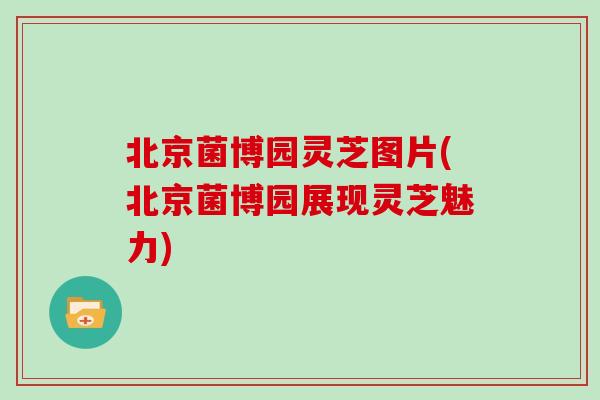 北京菌博园灵芝图片(北京菌博园展现灵芝魅力) 北京菌博园灵芝图片(北京菌博园展现灵芝魅力)