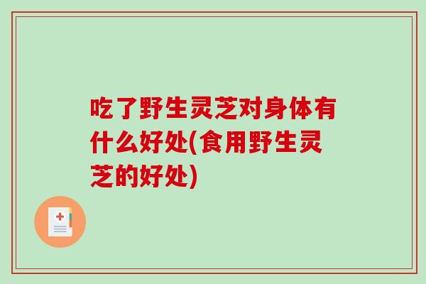 吃了野生灵芝对身体有什么好处(食用野生灵芝的好处)