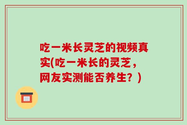 吃一米长灵芝的视频真实(吃一米长的灵芝，网友实测能否养生？)