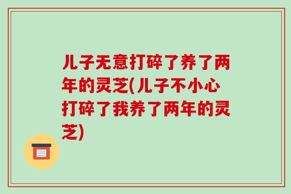 儿子无意打碎了养了两年的灵芝(儿子不小心打碎了我养了两年的灵芝)