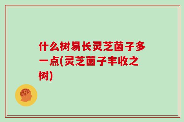 什么树易长灵芝菌子多一点(灵芝菌子丰收之树)