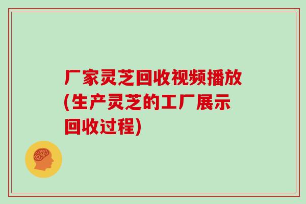 厂家灵芝回收视频播放(生产灵芝的工厂展示回收过程)
