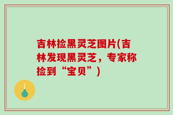吉林捡黑灵芝图片(吉林发现黑灵芝，专家称捡到“宝贝”)