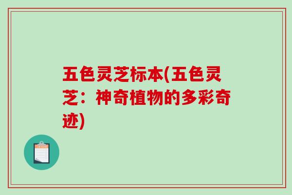 五色灵芝标本(五色灵芝：神奇植物的多彩奇迹)