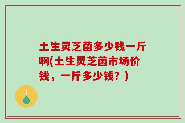 土生灵芝菌多少钱一斤啊(土生灵芝菌市场价钱，一斤多少钱？)