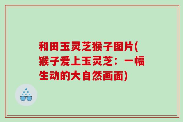 和田玉灵芝猴子图片(猴子爱上玉灵芝：一幅生动的大自然画面)