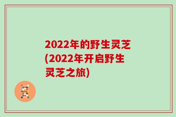 2022年的野生灵芝(2022年开启野生灵芝之旅)