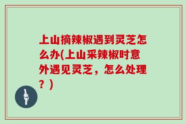 上山摘辣椒遇到灵芝怎么办(上山采辣椒时意外遇见灵芝，怎么处理？)