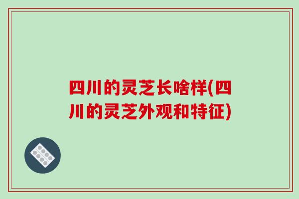 四川的灵芝长啥样(四川的灵芝外观和特征)