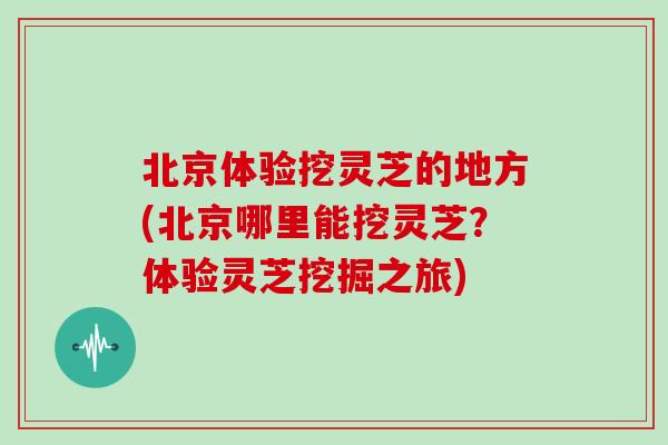 北京体验挖灵芝的地方(北京哪里能挖灵芝？体验灵芝挖掘之旅)
