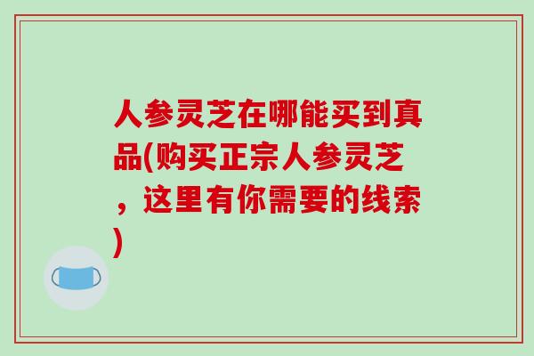 人参灵芝在哪能买到真品(购买正宗人参灵芝，这里有你需要的线索)