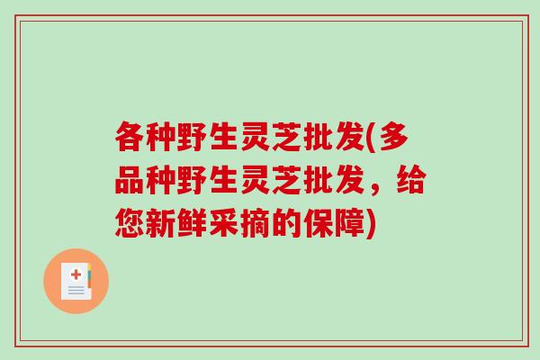 各种野生灵芝批发(多品种野生灵芝批发，给您新鲜采摘的保障)