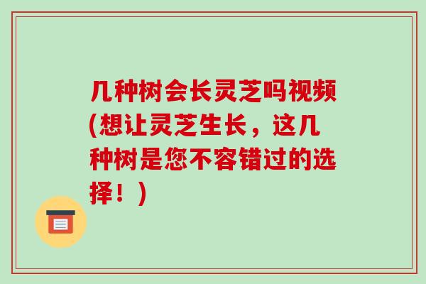 几种树会长灵芝吗视频(想让灵芝生长，这几种树是您不容错过的选择！)