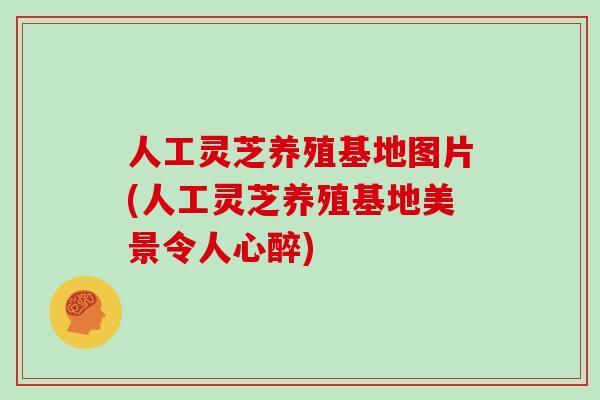 人工灵芝养殖基地图片(人工灵芝养殖基地美景令人心醉) 人工灵芝养殖基地图片(人工灵芝养殖基地美景令人心醉)