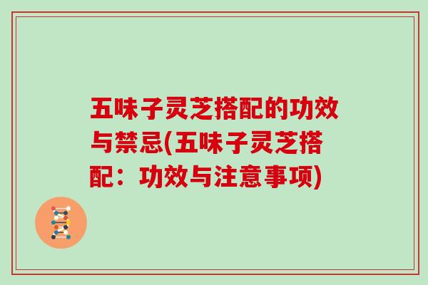 五味子灵芝搭配的功效与禁忌(五味子灵芝搭配：功效与注意事项)