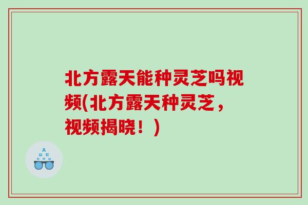 北方露天能种灵芝吗视频(北方露天种灵芝，视频揭晓！)