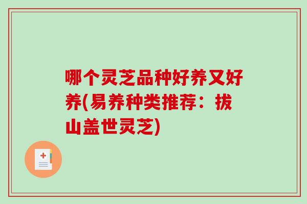哪个灵芝品种好养又好养(易养种类推荐：拔山盖世灵芝)